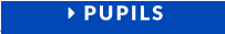  PUPILS
