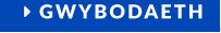  GWYBODAETH