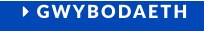  GWYBODAETH