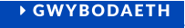  GWYBODAETH