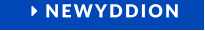  NEWYDDION