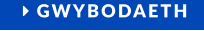  GWYBODAETH