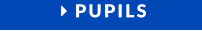  PUPILS