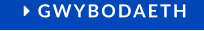  GWYBODAETH