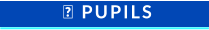  PUPILS