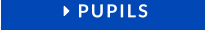  PUPILS