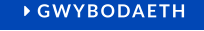  GWYBODAETH