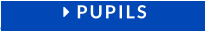  PUPILS