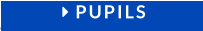  PUPILS