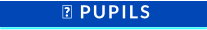  PUPILS