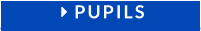  PUPILS