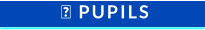  PUPILS