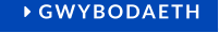  GWYBODAETH