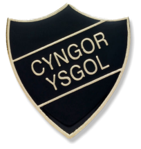ysgol tremeirchion buttons